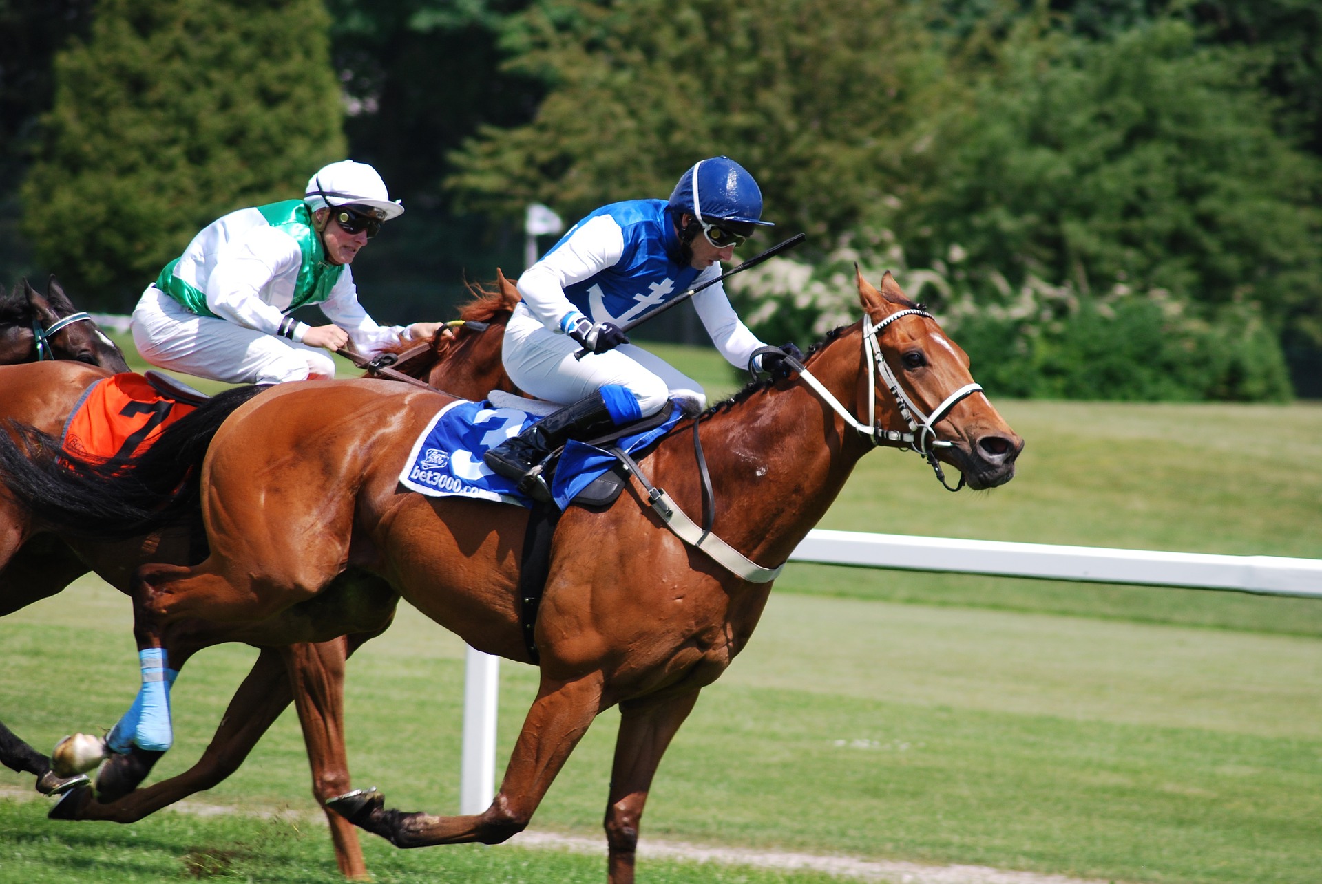 recruitment is like a horse race
